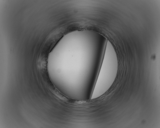 X0000093140137200709261106