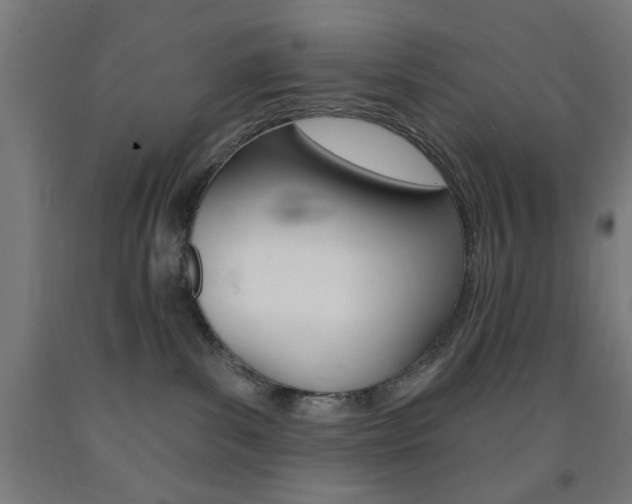X0000093140139200709261106