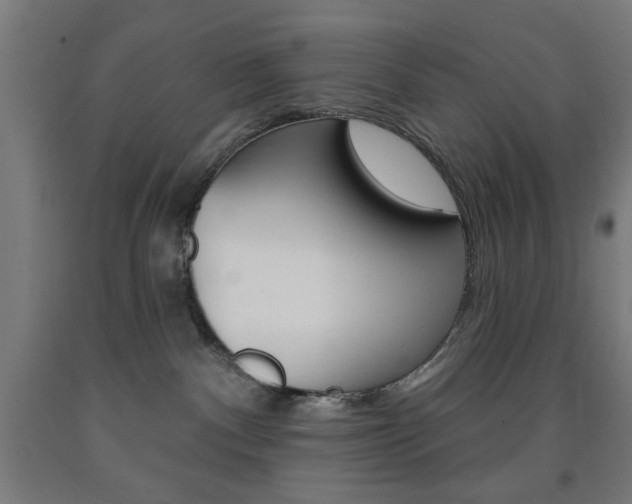 X0000093140140200709261106