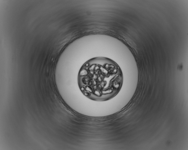 X0000093140141200709261106