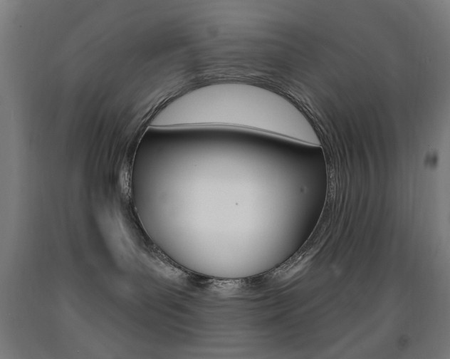 X0000093140143200709261106