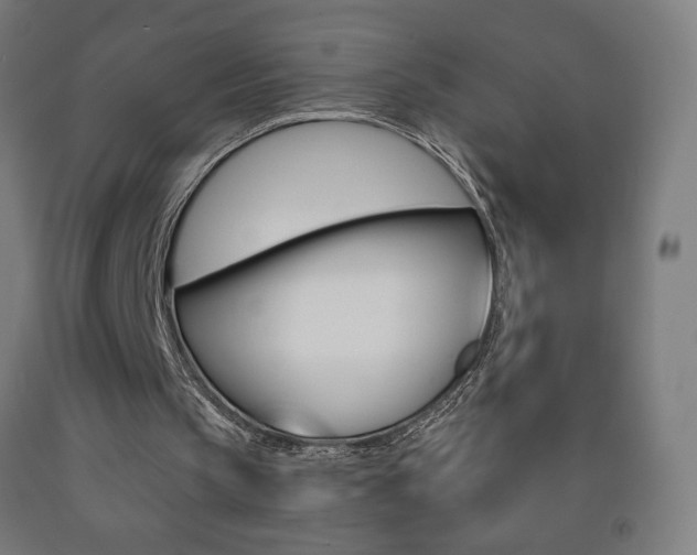 X0000093140145200709261106