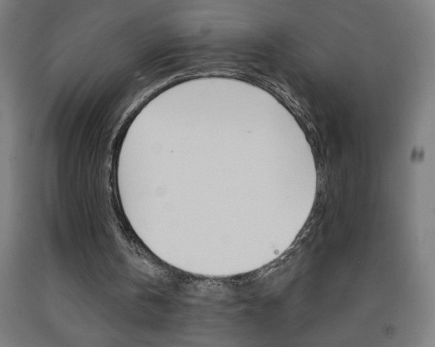 X0000093140146200709261106