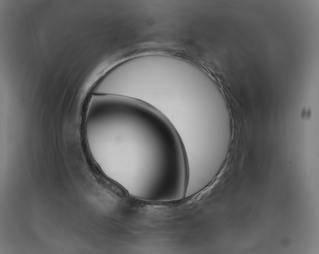 X0000093140150200709261106