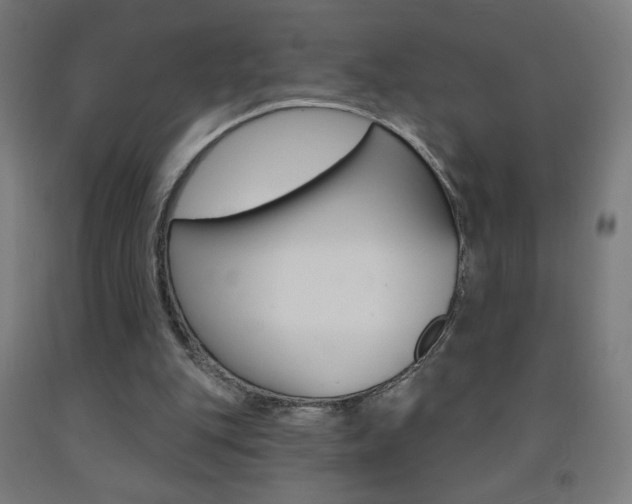 X0000093140151200709261106