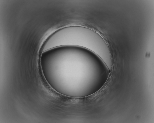 X0000093140152200709261106