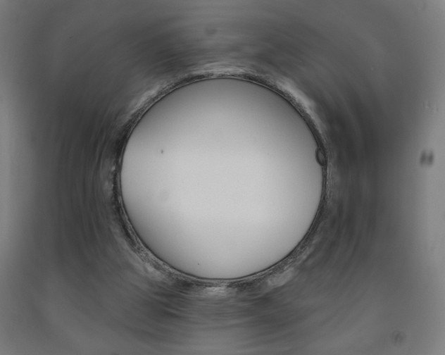 X0000093140153200709261106