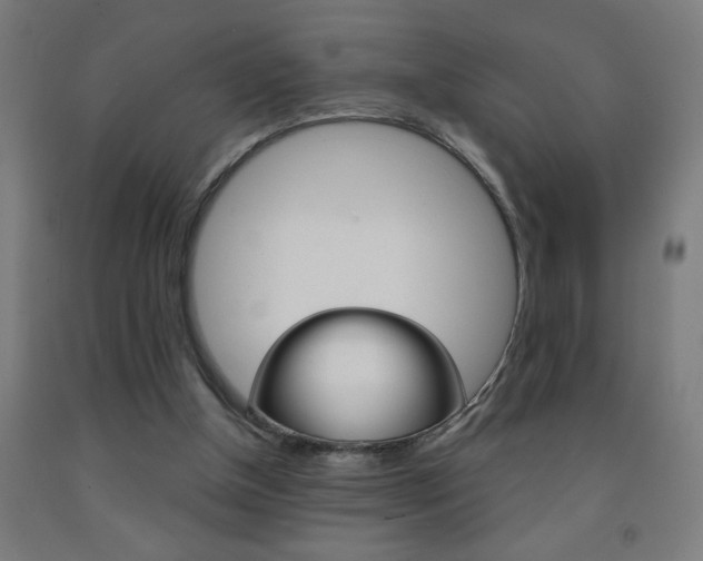 X0000093140154200709261106