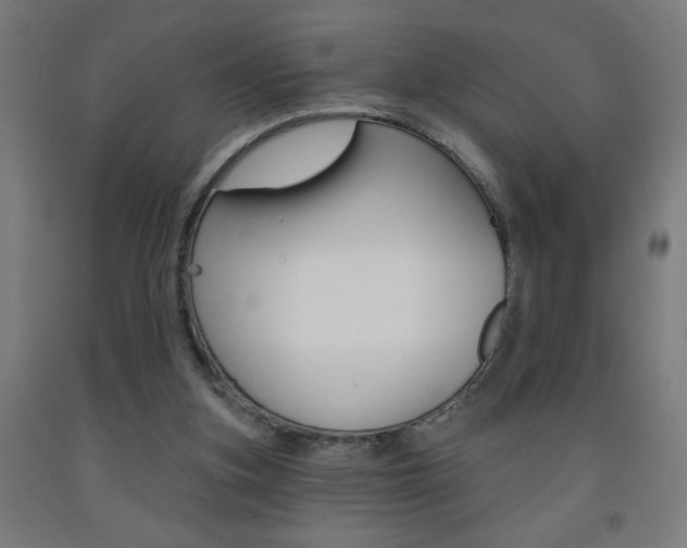 X0000093140155200709261106