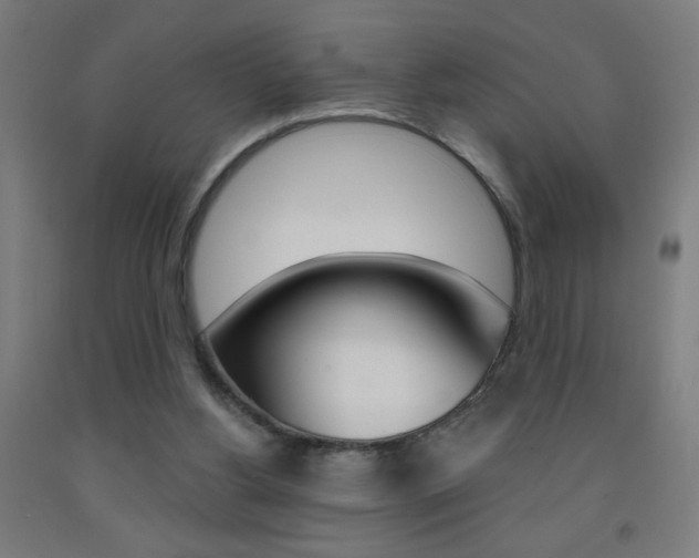X0000093140156200709261106