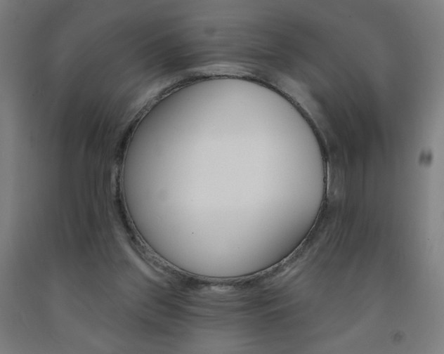 X0000093140157200709261106
