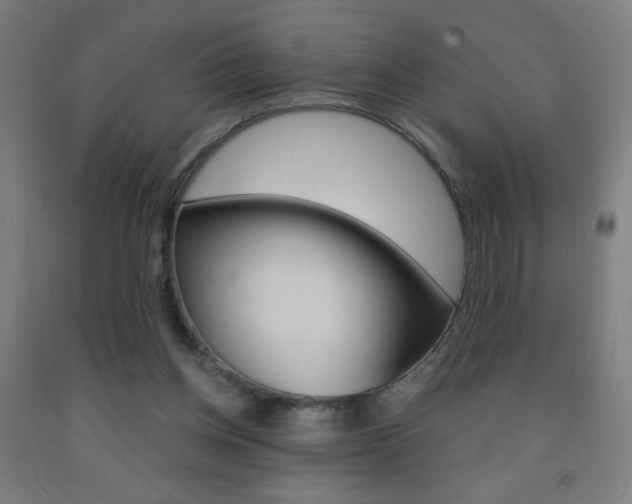 X0000093140158200709261106
