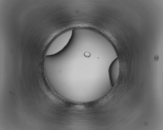 X0000093140159200709261106