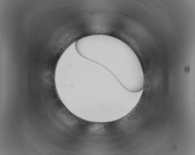 X0000093140162200709261106