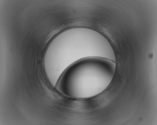 X0000093140164200709261106