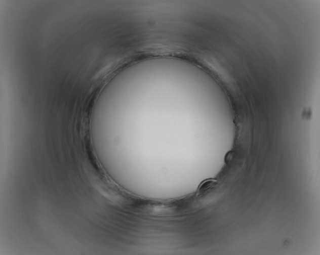 X0000093140165200709261106