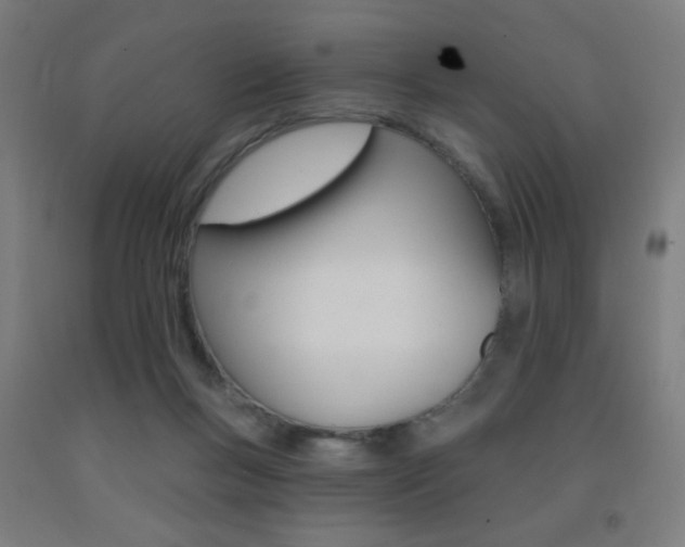 X0000093140167200709261106
