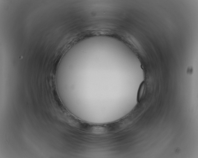 X0000093140169200709261106