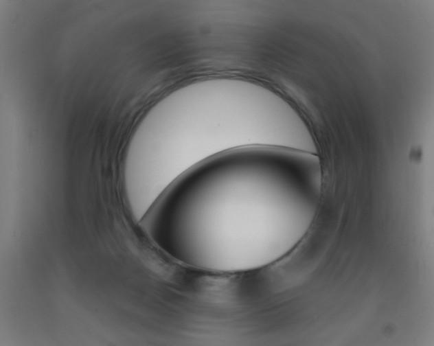 X0000093140170200709261106