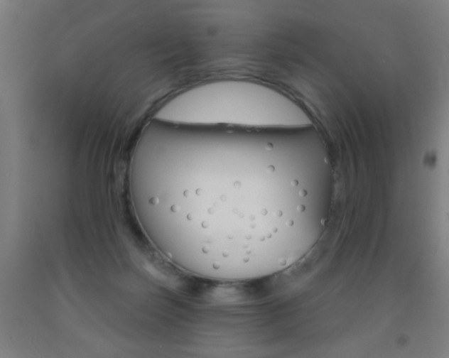 X0000093140171200709261106