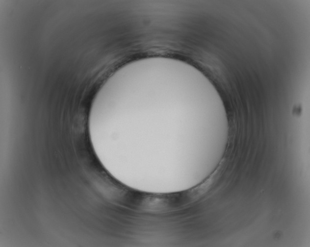 X0000093140174200709261106