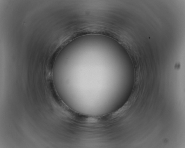X0000093140176200709261106