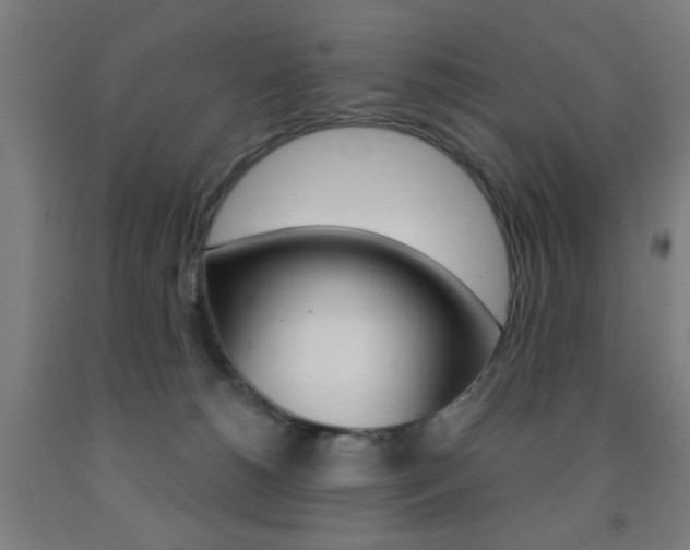 X0000093140180200709261106