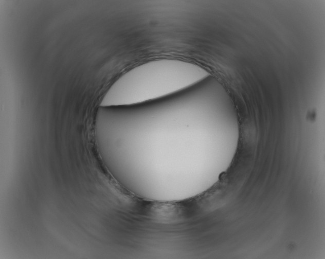 X0000093140181200709261106