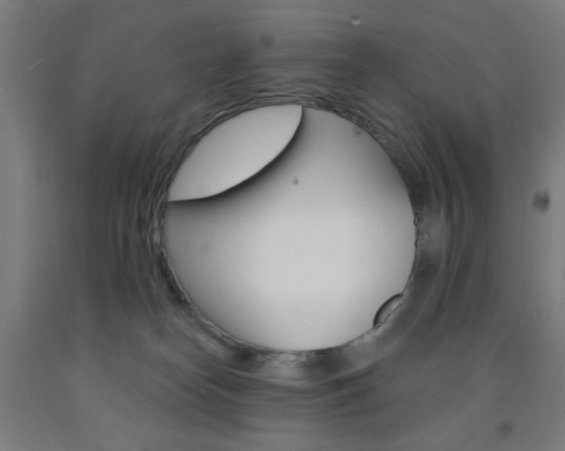 X0000093140182200709261106
