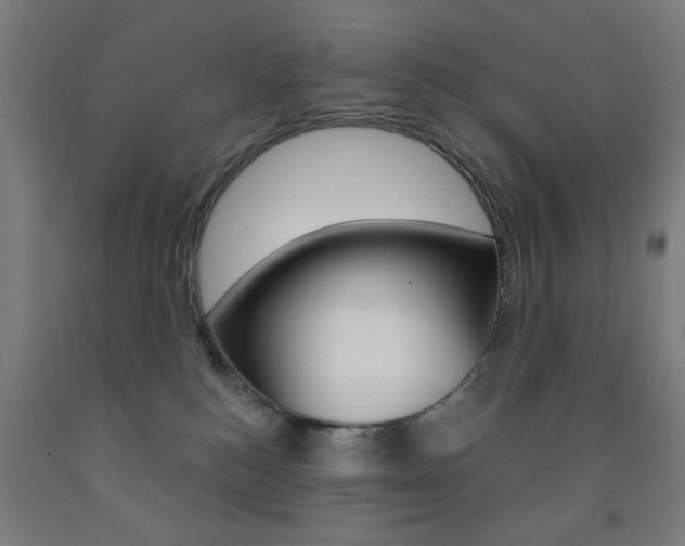 X0000093140184200709261106