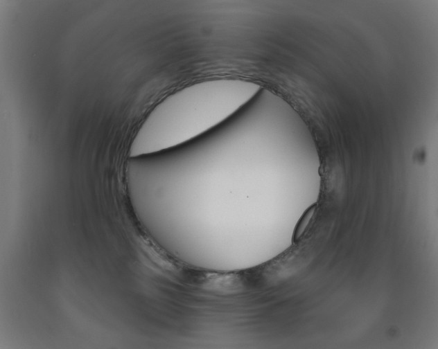 X0000093140185200709261106