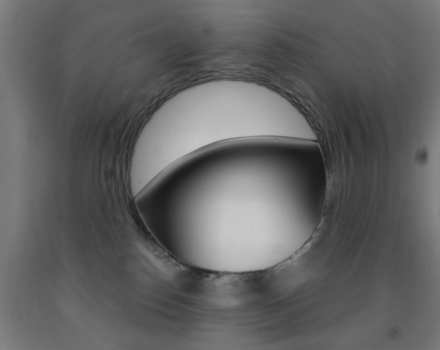 X0000093140186200709261106