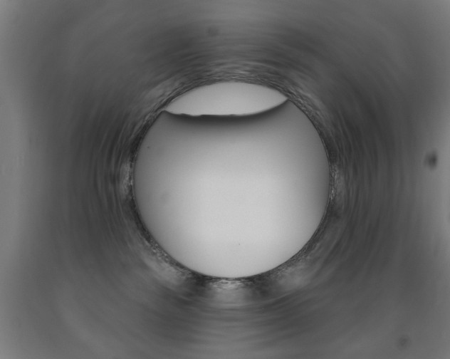 X0000093140189200709261106