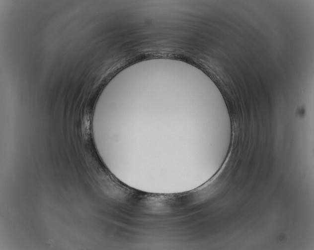 X0000093140190200709261106