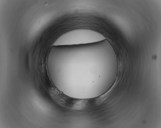X0000093140191200709261106