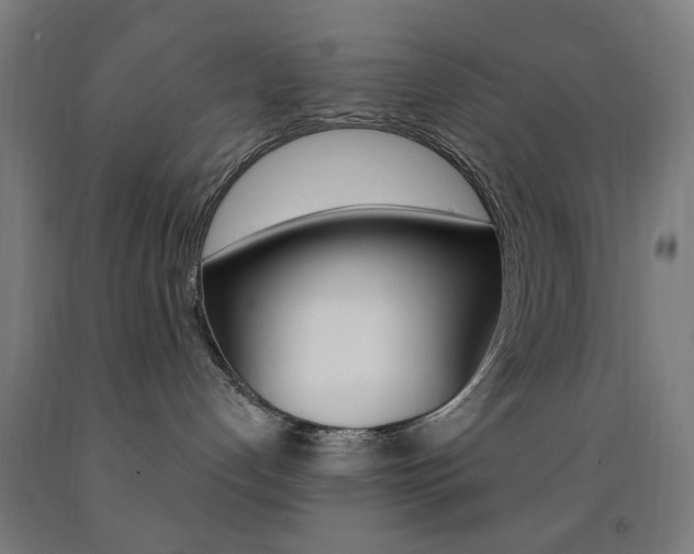 X0000093140192200709261106