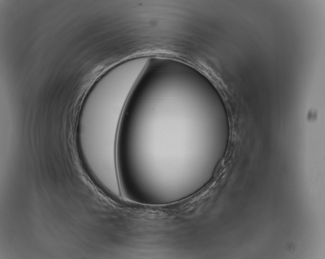 X0000093140193200709261106
