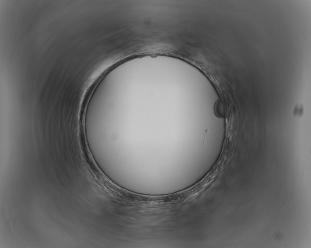 X0000093140196200709261106