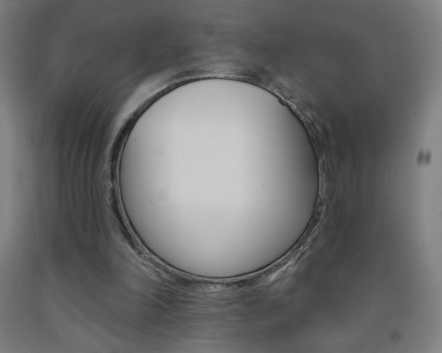 X0000093140198200709261106