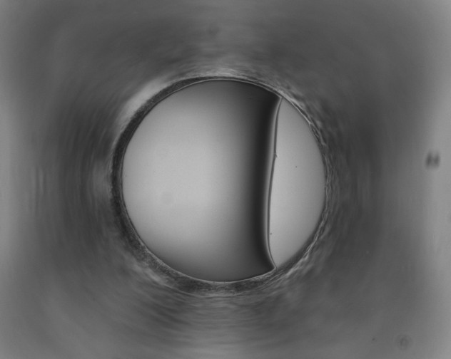 X0000093140200200709261106