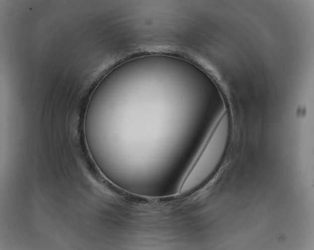 X0000093140201200709261106