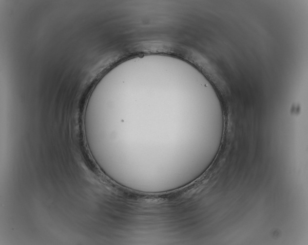 X0000093140202200709261106