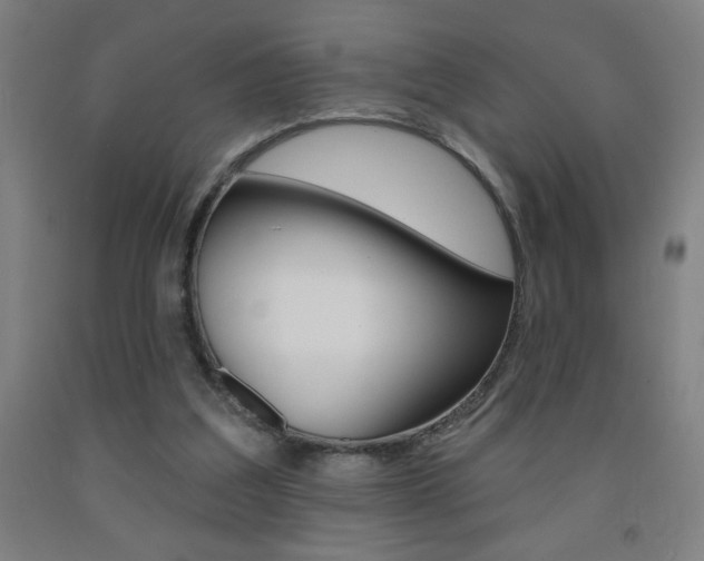 X0000093140203200709261106