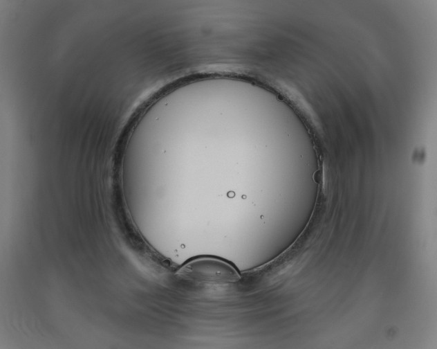 X0000093140204200709261105
