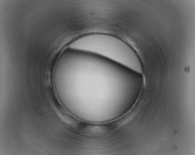 X0000093140205200709261105