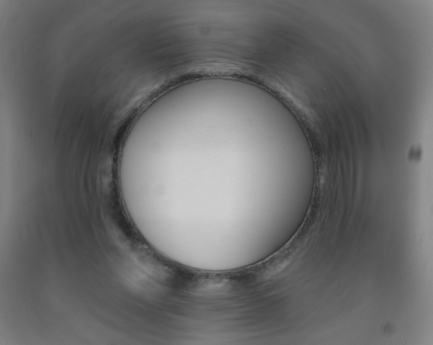 X0000093140206200709261105