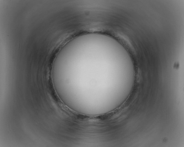 X0000093140210200709261105