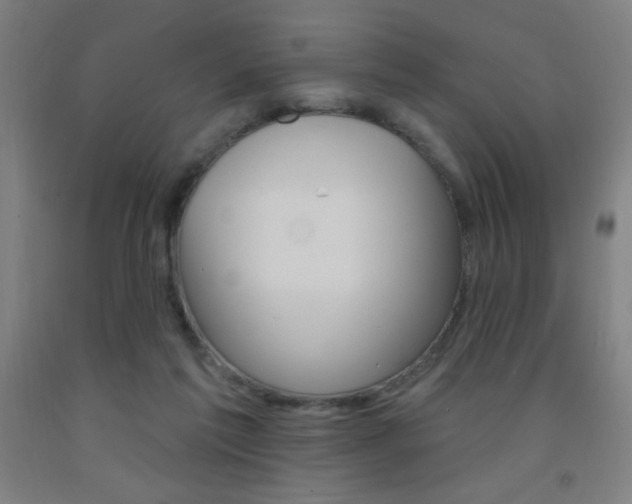 X0000093140213200709261105