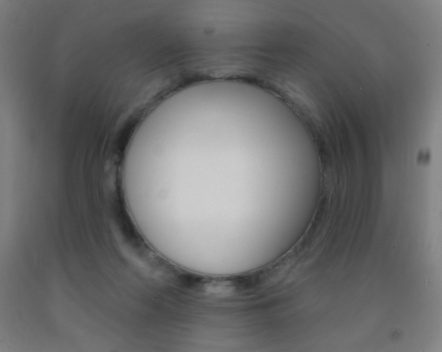X0000093140214200709261105