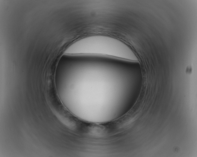 X0000093140215200709261105